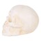 Accent Plus Home Decorative Small Cast Iron Skull Figurine or Paperweight